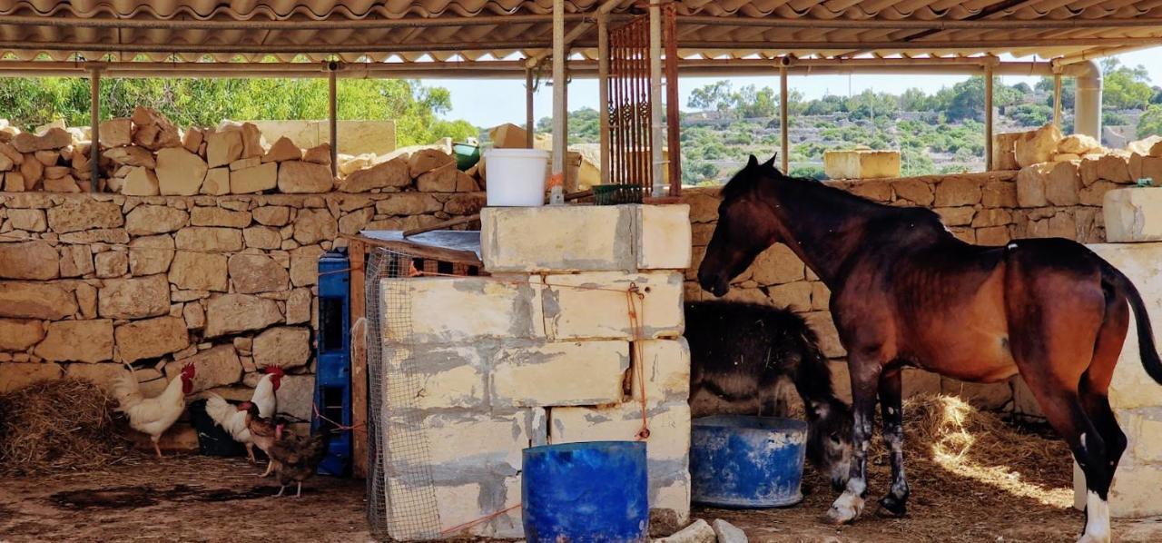 Valley View Qrendi Εξωτερικό φωτογραφία